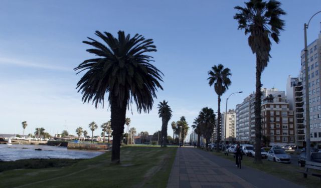 Montevideo City Guide