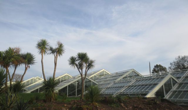 A Morning Walk in Kew Gardens