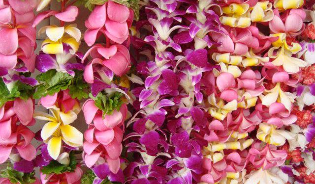 16 Hawaiian Products to Bring Home from Honolulu