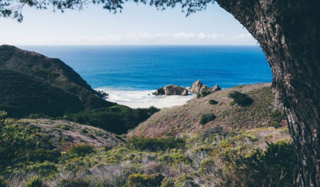Big Sur Quick Guide + Photo Journal