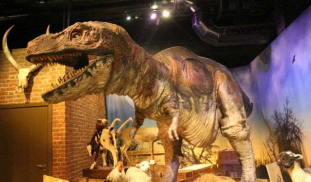 Ripley’s Believe It or Not! Is It Worth a Visit?
