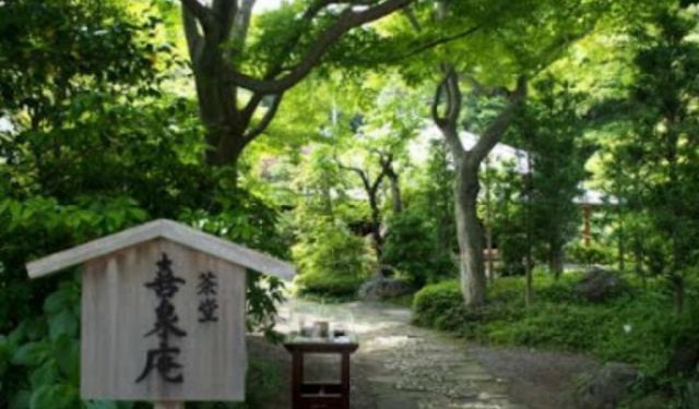 5 Things to Do and See at Jomyoji Temple, Kamakura, Japan