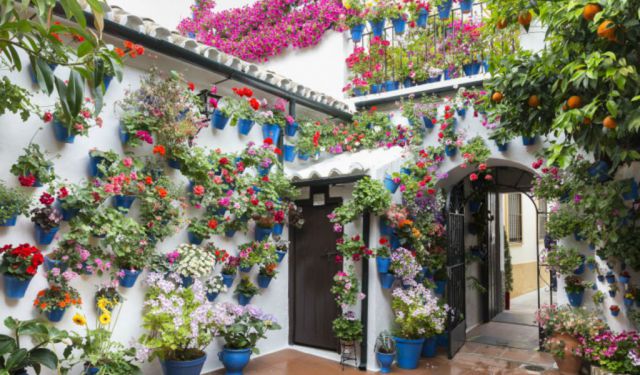 6 Top Things to Do in Córdoba