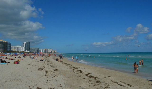 Local's Guide to Miami Neighborhoods
