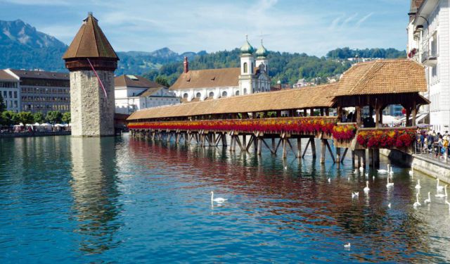 Lucerne: A Quick Guide