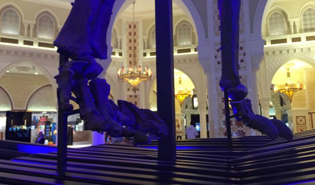 10 Things to Do at Dubai Mall (Other than Shop)