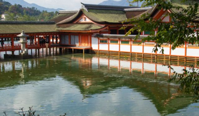 Miyajima Island - Molluscs and Momiji Manju