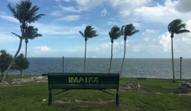 Miami's Best Local Eats