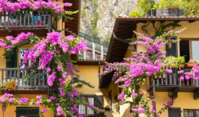Limone sul Garda - The Garden of Lake Garda