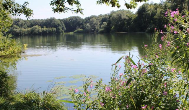 10 Cheap & Free Things to Do in Hannover, Germany