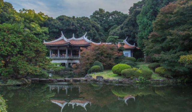 Shinjuku, a Tokyo Suburb in Bloom