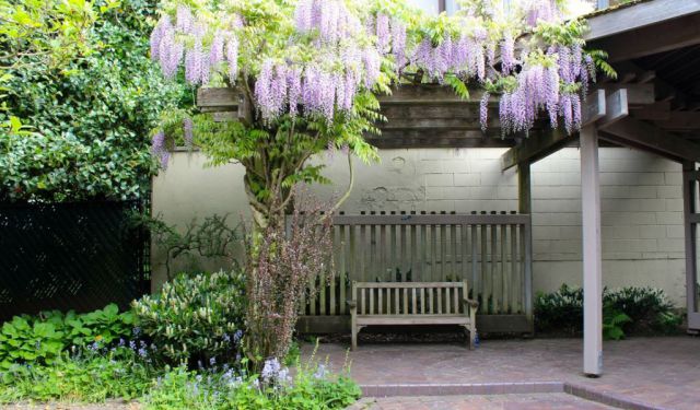 7 Seattle Gardens & Parks to Enjoy Flowers