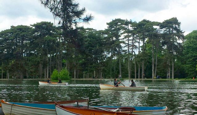 Water-Falling for the Bois de Boulogne