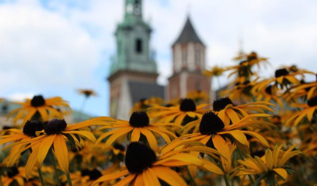 12 Must-Visit Historical Sites in Krakow, Poland