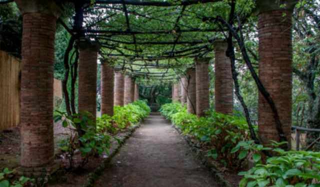 Three Days in Sorrento, Italy