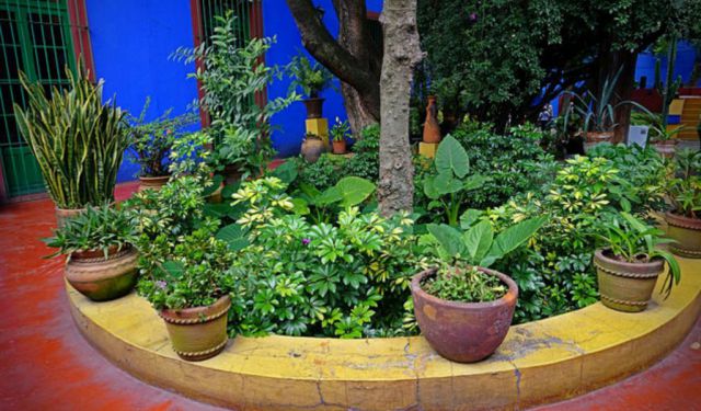 Self-Guided Walking Tour: Coyoacan, Mexico City