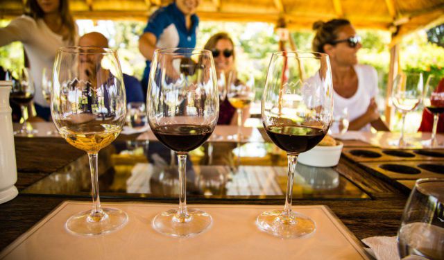 Wine Tasting & Biking in Mendoza, Argentina