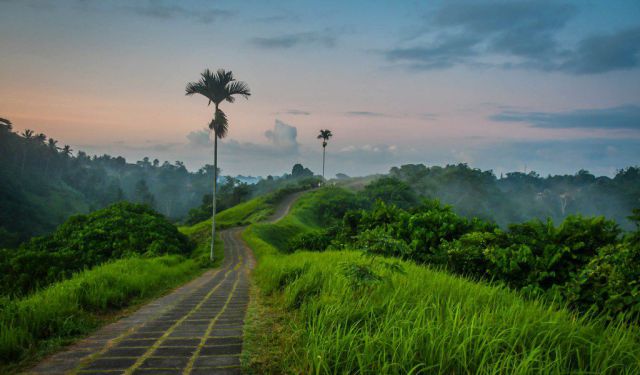 10 Must-Do Activities In and Around Ubud, Bali, Ubud, Indonesia (B)