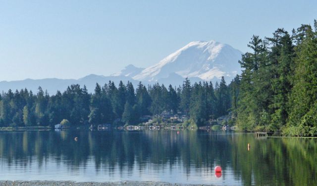 Five Seattle Favorites