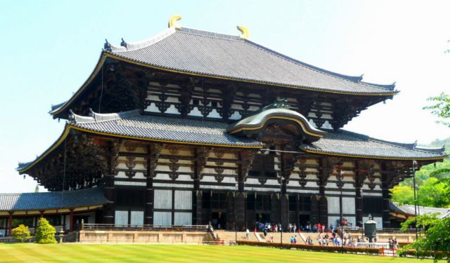 Ninja Village and Nara Experience