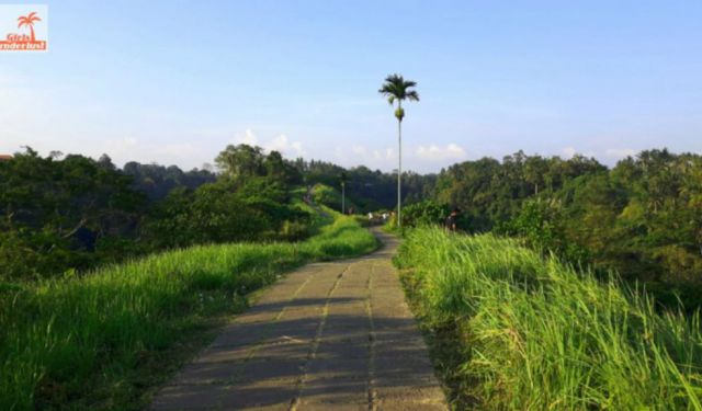 Travel Guide Ubud, Bali