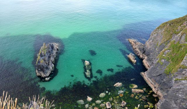 What to See in Cork