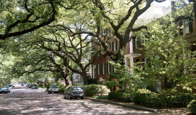 History of Savannah