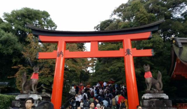 Kyoto and Nara 5 Days and 4 Nights