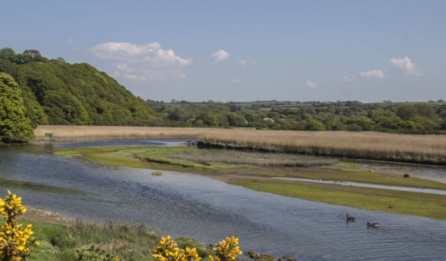 Newport in Pembrokeshire, Wales - A Holiday Haven