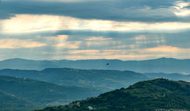 Top Things to Do in Motovun, Croatia