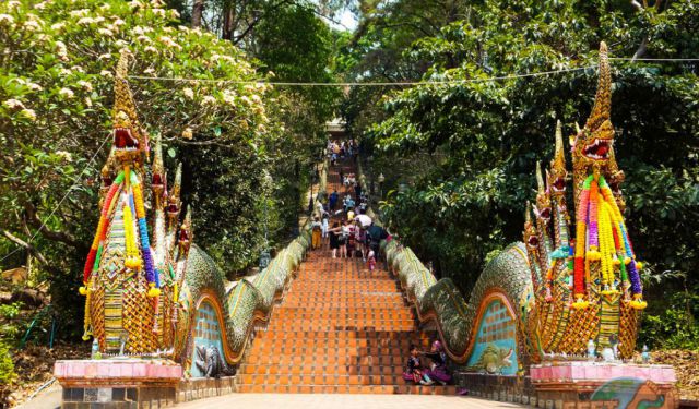 My Chiang Mai