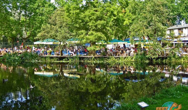 7 Things to Do in Amsterdam