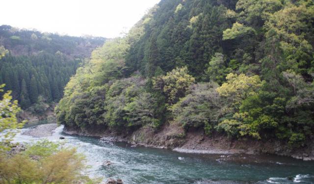A Day in Arashiyama