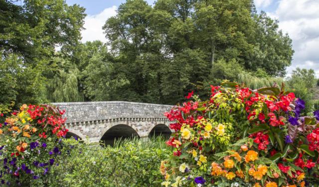 Ringwood - Gateway to the New Forest