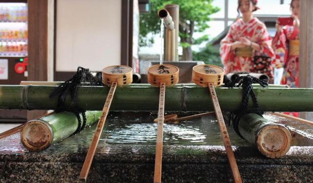 A Brief Encounter with a Geisha at Gion, Kyoto