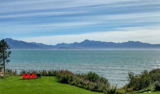Three Days in Homer, Alaska