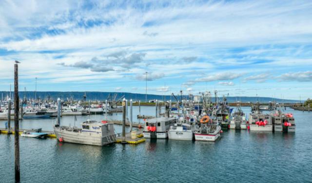 From Cooper Landing to Homer