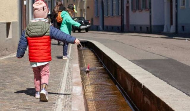 Things to Do in Freiburg and Surrounds