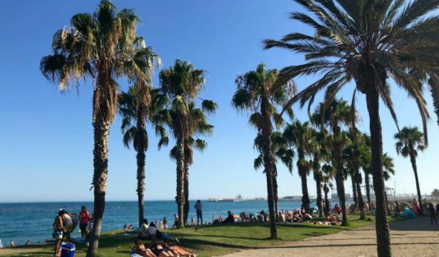 Things to Do in Malaga