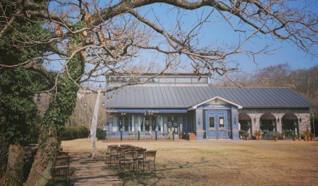 Checking out Cafes in Jeju