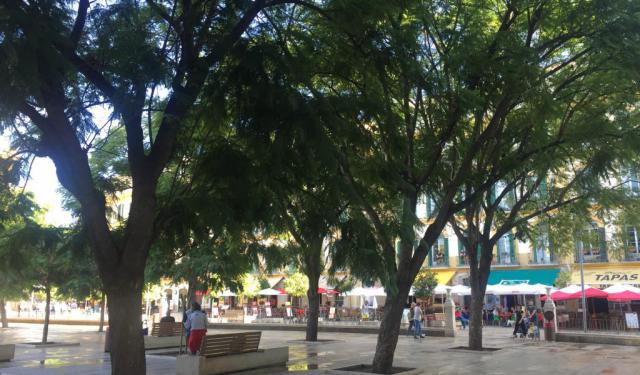 Mercado Atarazanas and Picasso’s Birthplace, Malaga