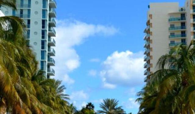 Miami Food Halls and Cultural Spaces