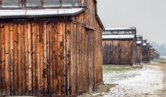 Six Hour Tour of Auschwitz