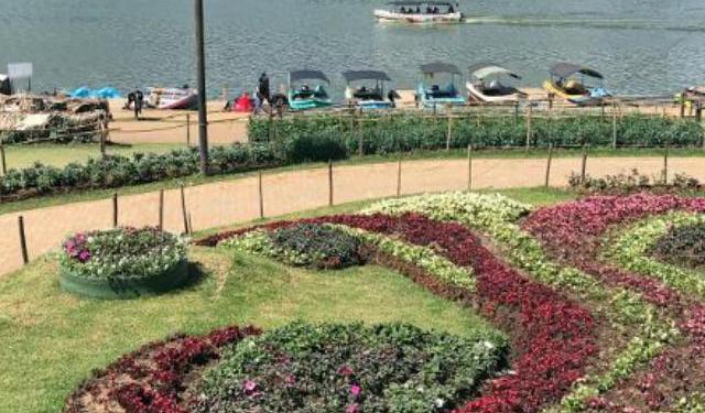 A Day Trip to Nuwara Eliya from Kandy