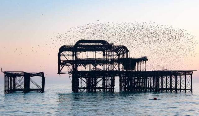 The Best Things to Do on a Brighton Day Trip