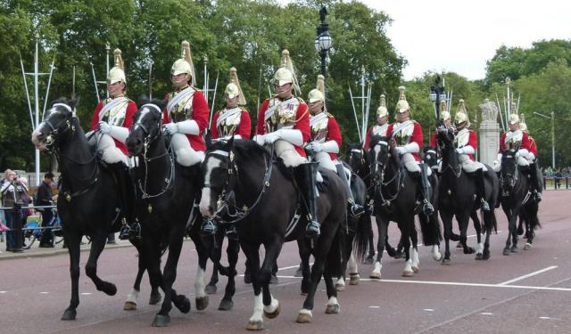 Visiting the Queens Horses at the Royal Mews, London