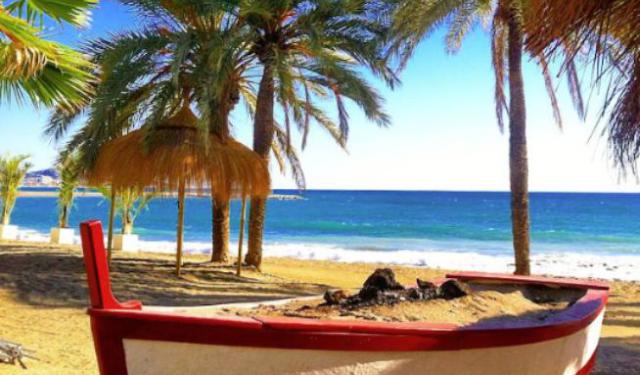 Make Your Way Around Malaga