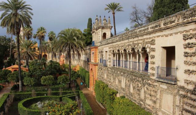 Orange Trees & Peacocks | Seville, Spain