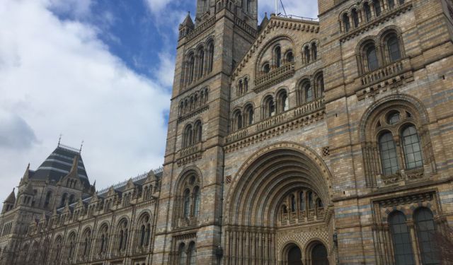 Discovering Dinosaurs at the Natural History Museum