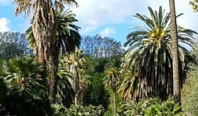 Gardens and Parks in Rome